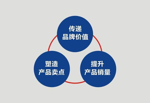 纪元融创科技品牌建设与营销,纪元控股张铭博士分享