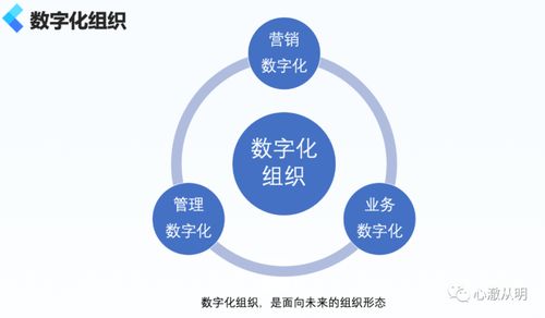 企业数字化组织的一些思考