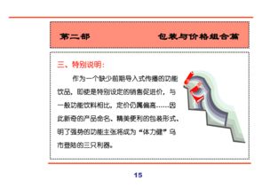 汇源集团新产品营销策划全案